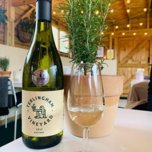 Terlingham-Vineyard
