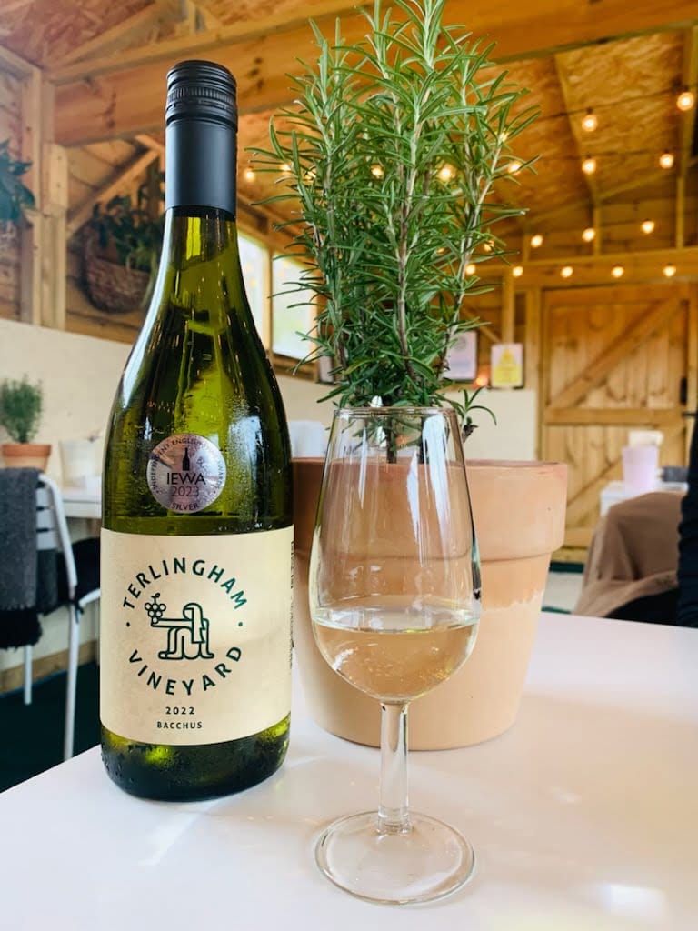 Terlingham-Vineyard