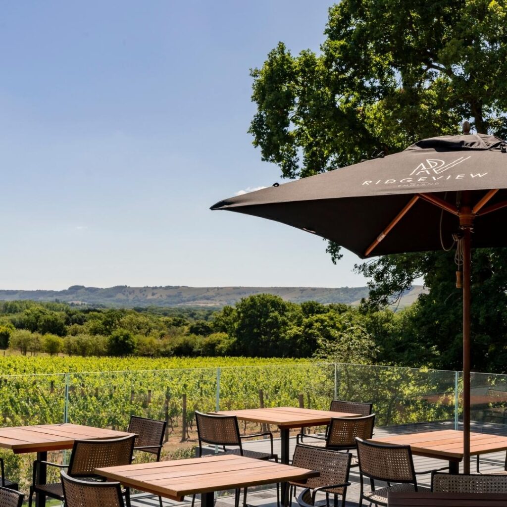 Ridgeview Wine Estate vineyard or winery