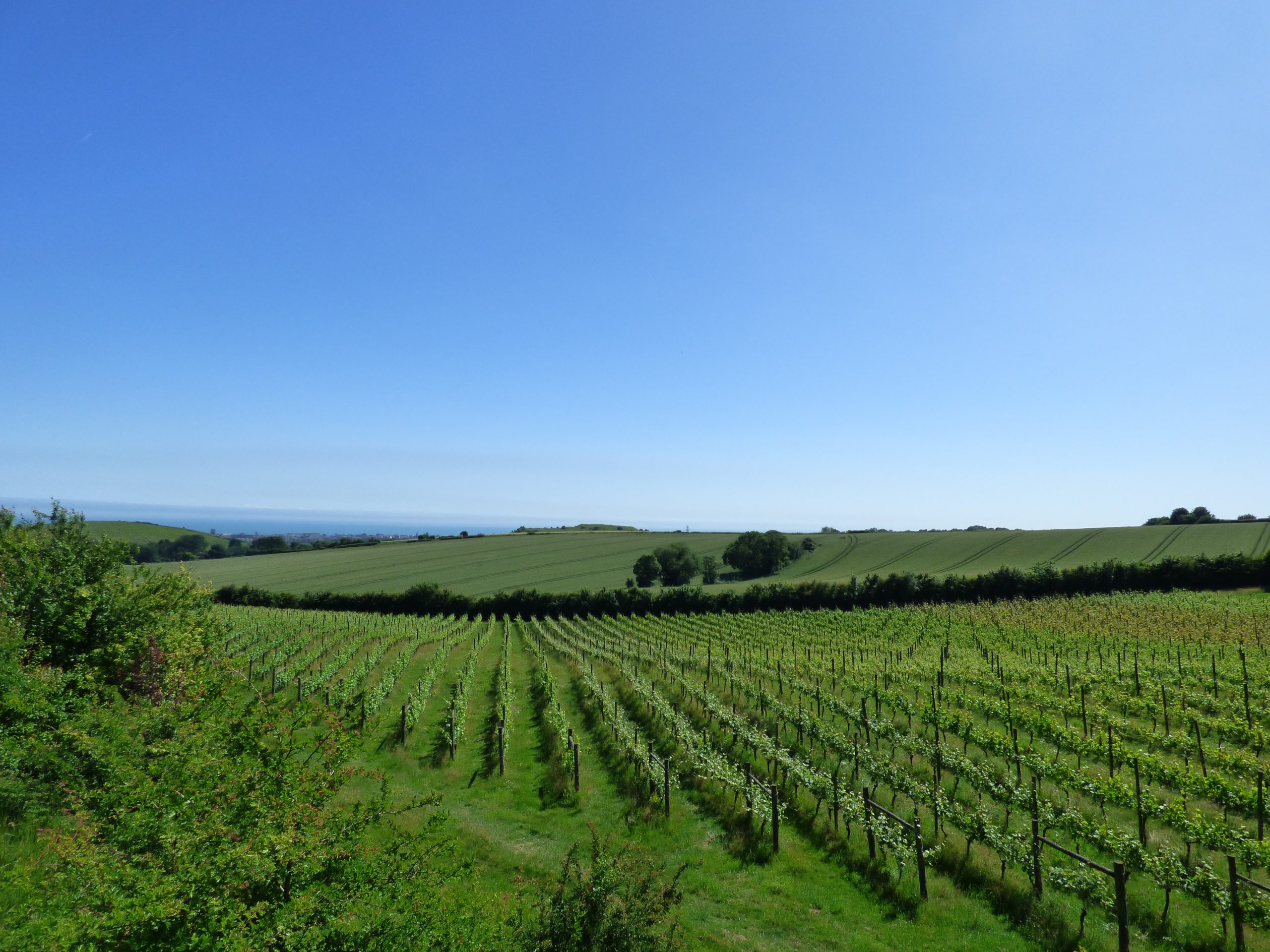 Terlingham Vineyard Classic Cuvée Sparkling White 2023
