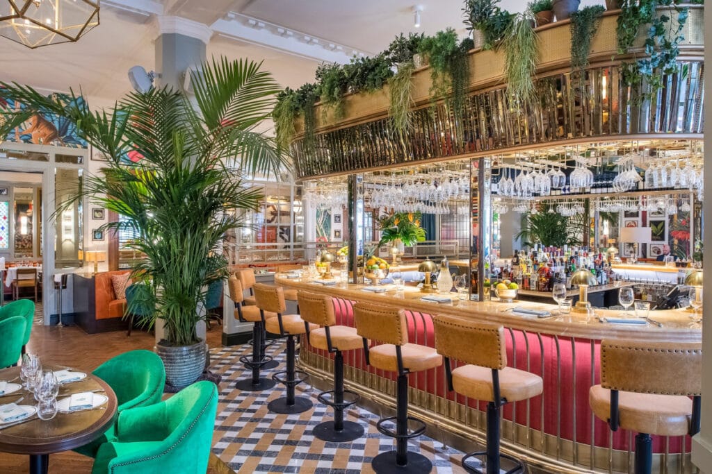 The Ivy in the Lanes