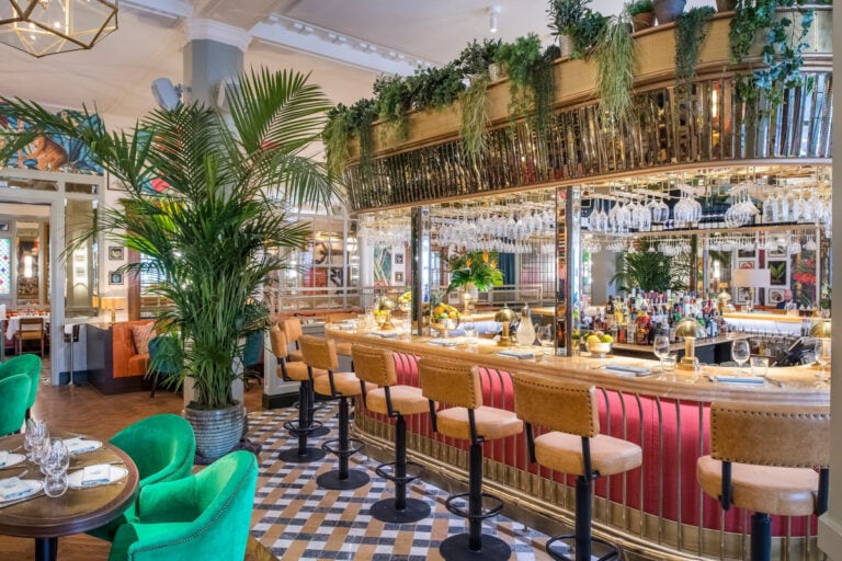 The Ivy in the Lanes