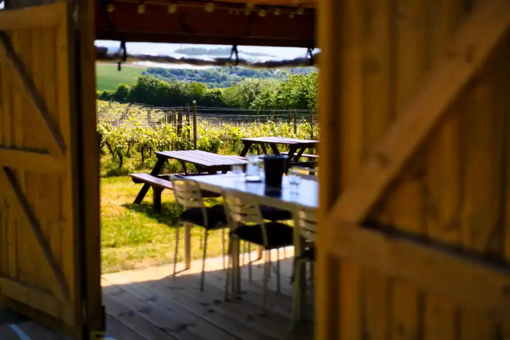 Terlingham Vineyard, British wine producer