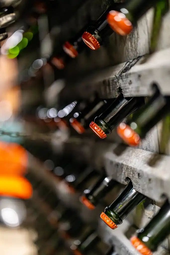 Bottles resting in wooden racks in Terlingham’s cellar