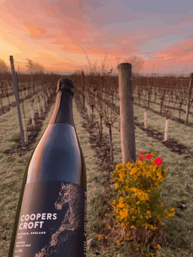 Pinot Noir Rosé Sparkling 2023 bottle