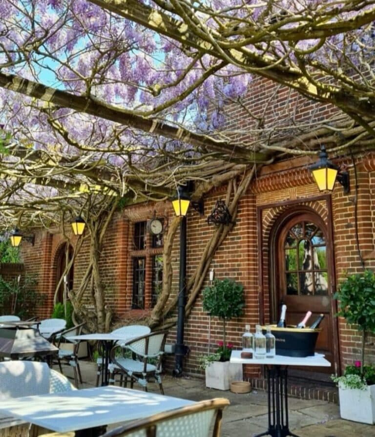 Wisteria-covered terrace at The Fordwich Arms