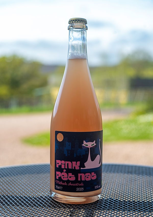 Ancre Hill Estates Ancre Hill Pink Pét Nat