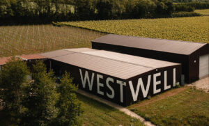 Westwell winery buildings surrounded by vines in Kent