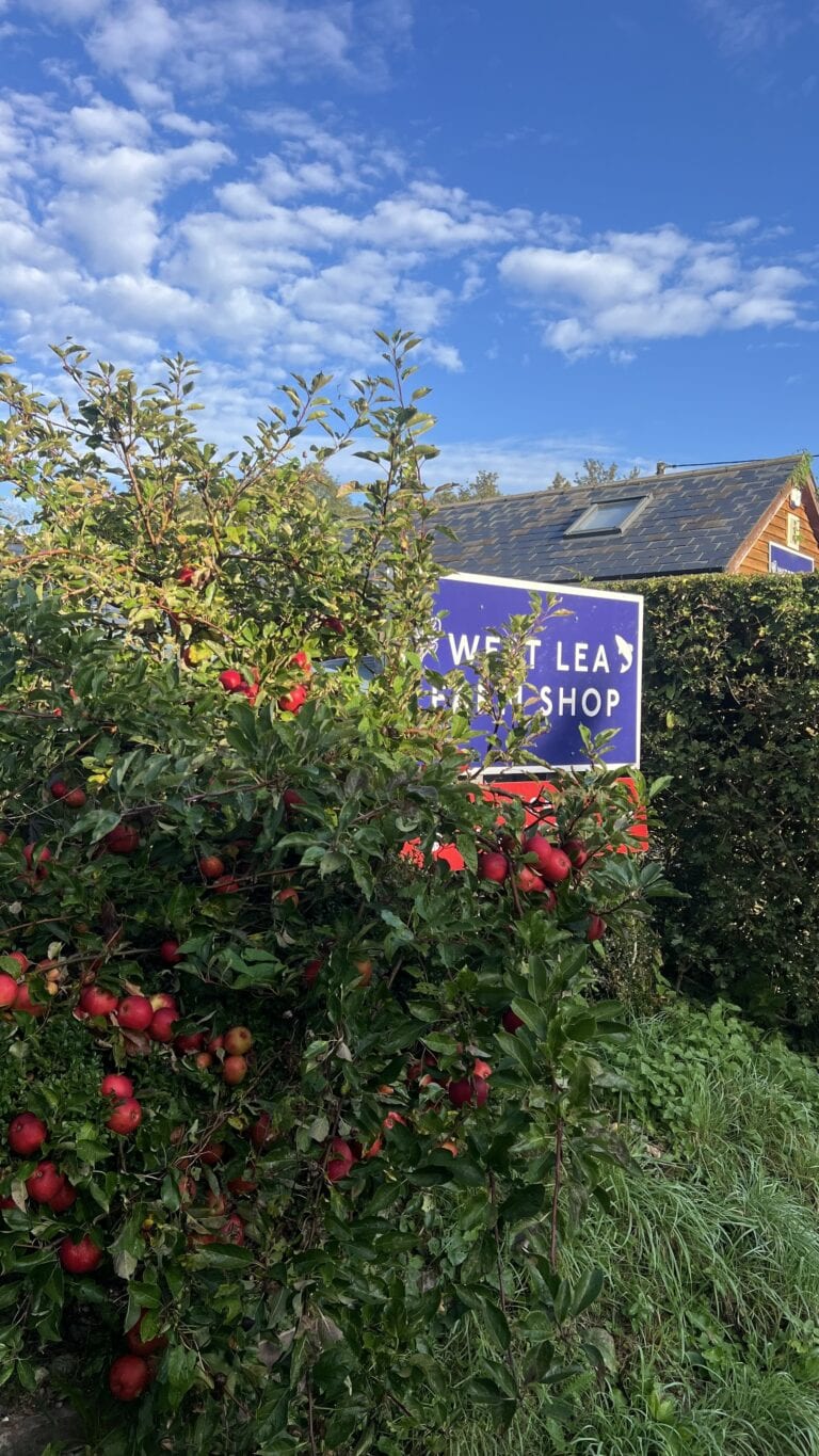 West Lea Farm Shop — official website photograph